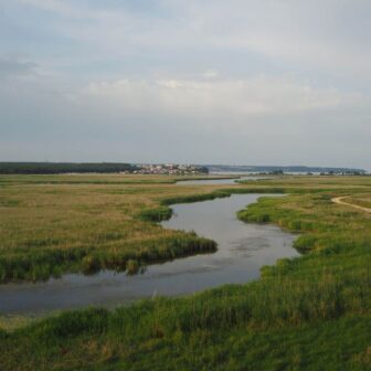 CA_Wetlands.jpg
